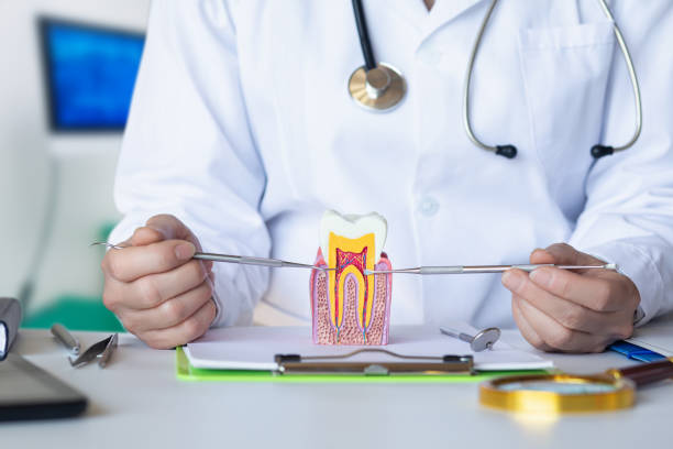 Best Emergency Treatment for Dental Infections or Abscesses in Chesaning, MI